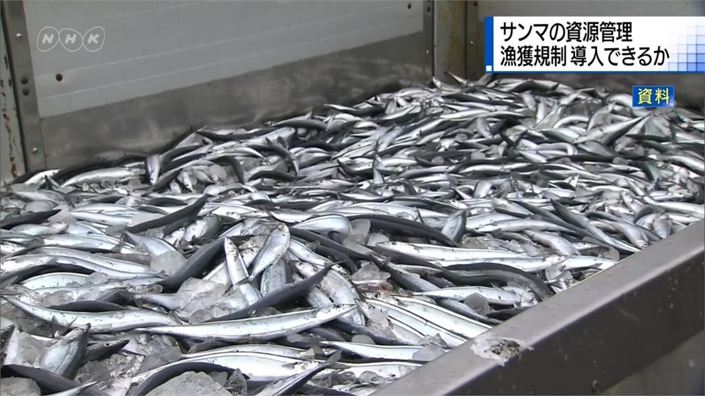 Life生活網 指台灣漁民過度捕撈日本提案限捕秋刀魚