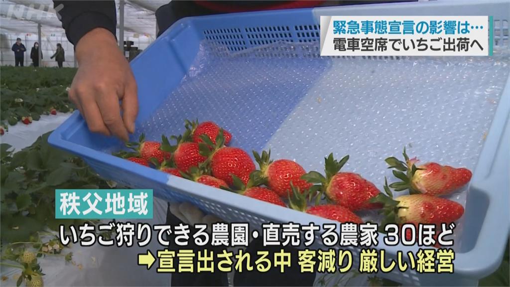 日本果園拚業績 推線上採草莓疫情中小確幸！坐等草莓宅配到府