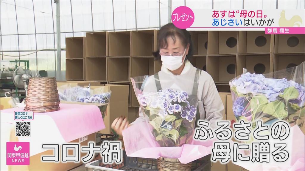 日本母親節新流行 不送康乃馨改送繡球花