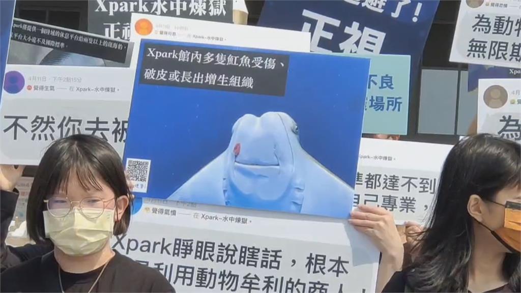 動保揚言抵制Xpark水族館 館方：絕無虐待動物