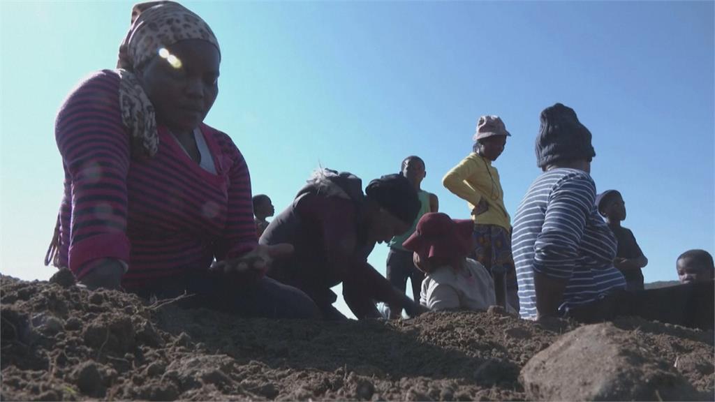 發大財成真？南非村莊傳埋藏鑽石　上千淘金客湧入搶挖寶