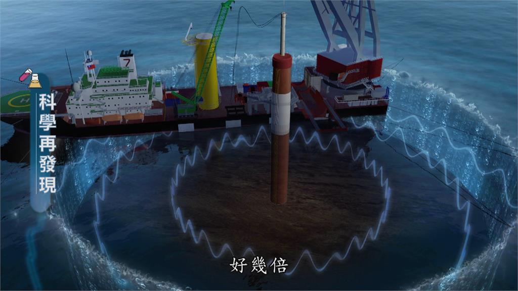 中華白海豚生存危機　盼與離岸風電共存