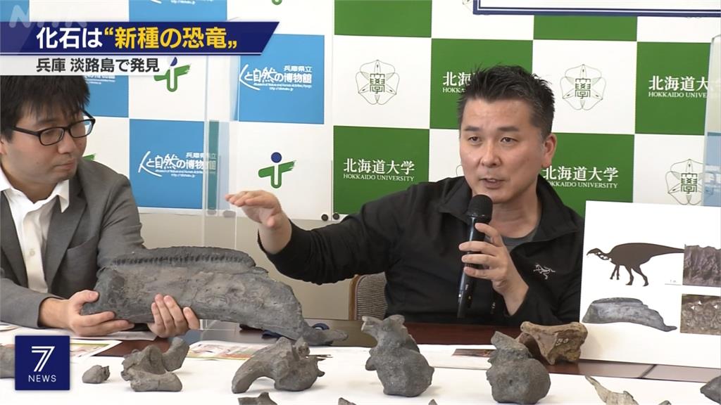 兵庫出土新恐龍化石　取名「伊奘諾的日本龍」
