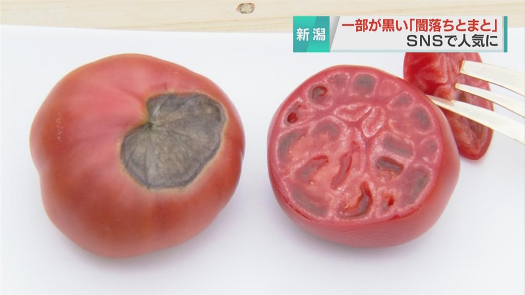 表面佈滿黑斑超恐怖...日本「魔化番茄」香甜可口