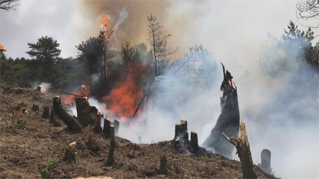 延燒12天　玉山森林大火滅了！林務局向肇事者求償上千萬