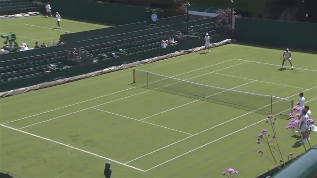 溫布頓網球賽變裝 紫色草皮令人驚豔