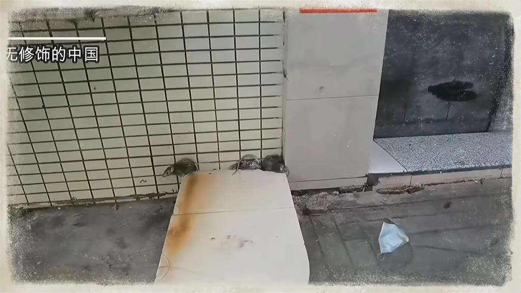我家門前有小河!中國豪雨成災 街道慘淹成水上樂園