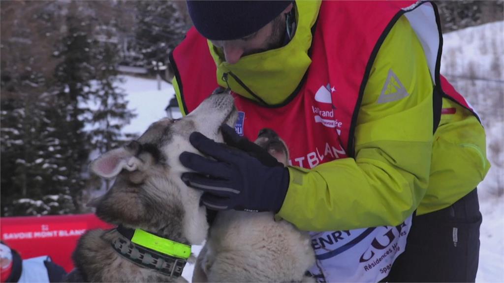 雪橇犬阿爾卑斯山上競速法國好手寫四連霸