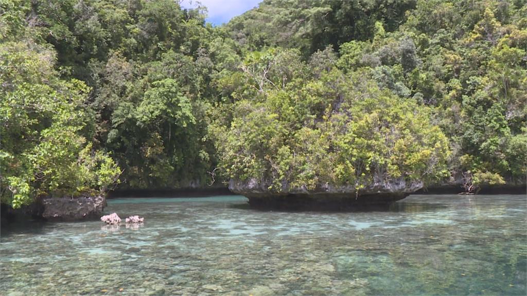 帛琉總統訪台行程曝 將搭旅遊泡泡首航返國