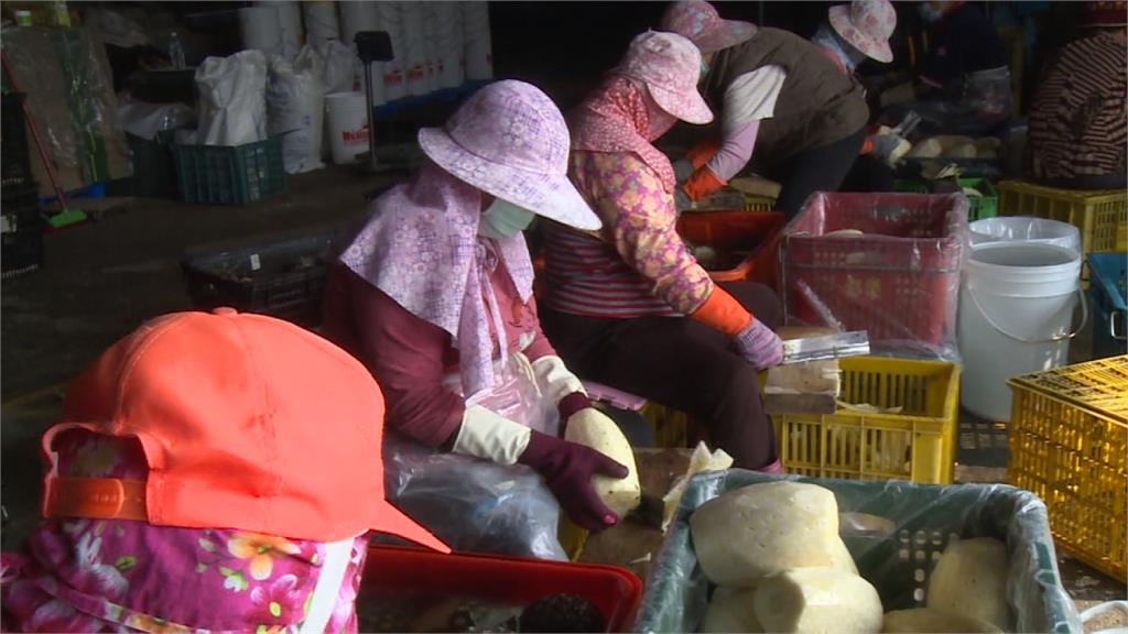 中祭「農林22條」搶台灣人才 陳吉仲:矮化台灣