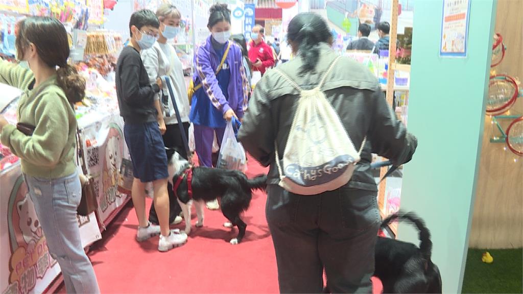 台南寵物展開幕 進場須量溫、消毒 全程戴口罩
