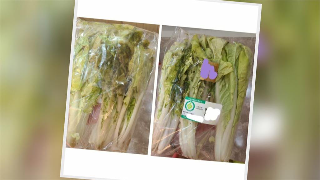民眾網購蔬菜箱 一打開發現菜全「變黃發臭」