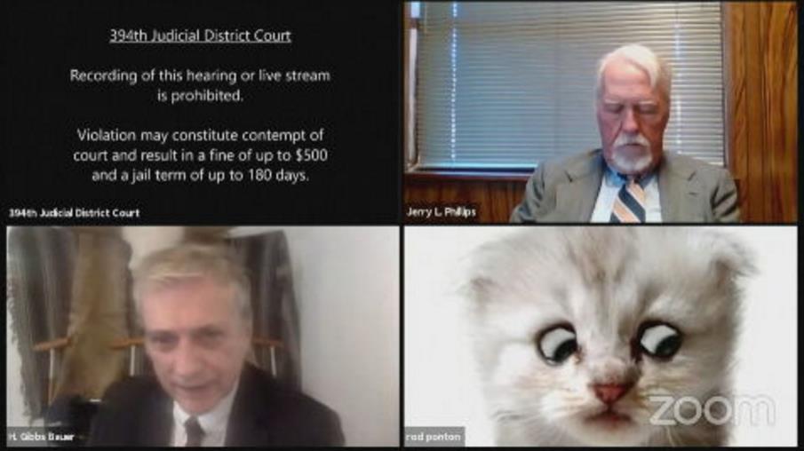 關不掉濾鏡！美德州律師化身小貓視訊開庭　大喊：我不是貓咪