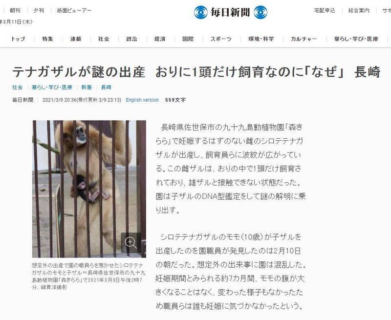 母猿獨居5年竟懷孕生子 日本動物園傻眼
