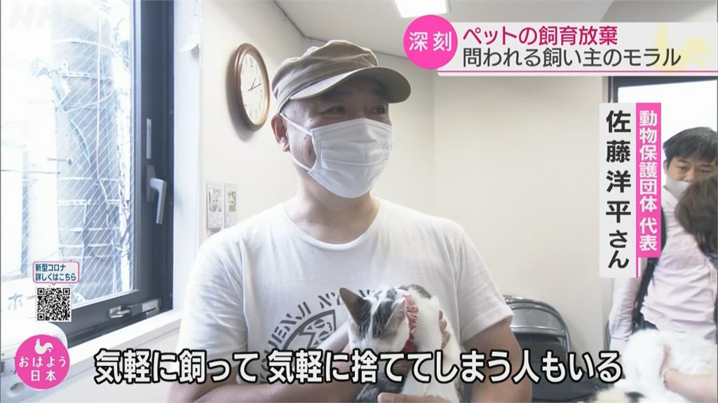 養了才反悔! 飼主嫌毛孩煩又吵 出現棄養潮