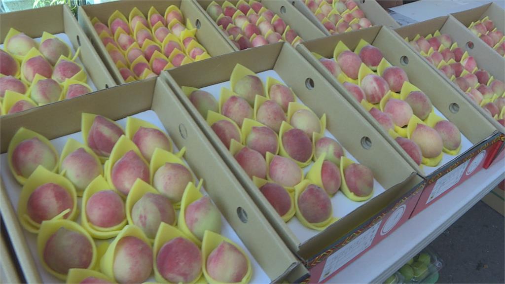 鮮採那瑪夏水蜜桃　義賣會700盒搶購一空 ！