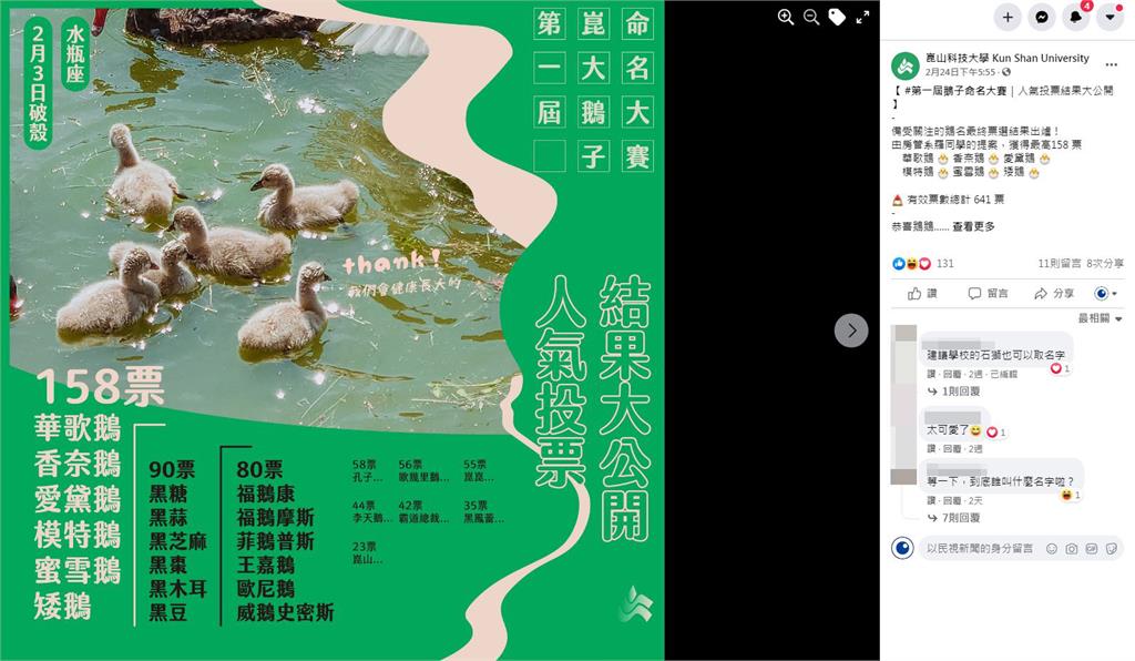 「矮鵝、香奈鵝、模特鵝」勝出!崑山科大鵝寶寶命名大賽結果出爐