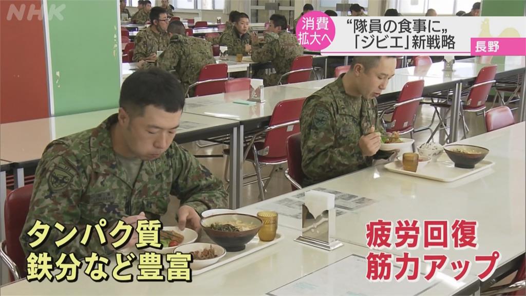 野豬 野鹿破壞農作犯案累累野味推廣團體向自衛隊推銷特殊料理 民視新聞網