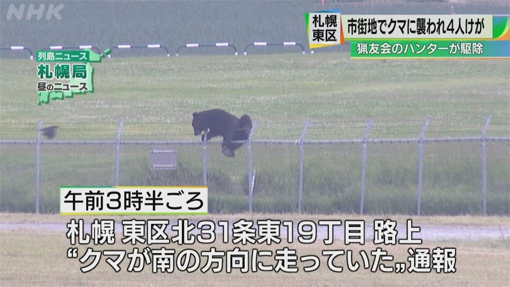 棕熊現蹤札幌攻擊民眾　10間中小學臨時停課
