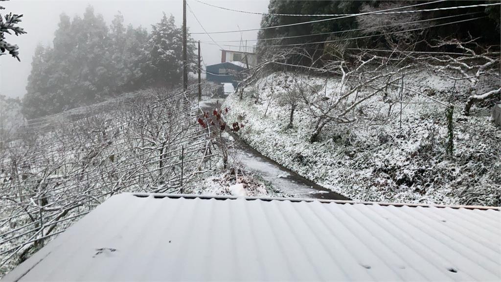 快新聞／超夢幻！ 拉拉山再度下雪成「銀白色童話世界」 各地積雪厚達1cm  