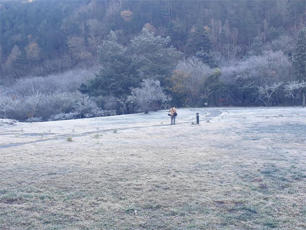 快新聞／超美！ 武陵農場清晨-4.3°C仙氣大爆發 園區「撒糖霜」宛如仙境