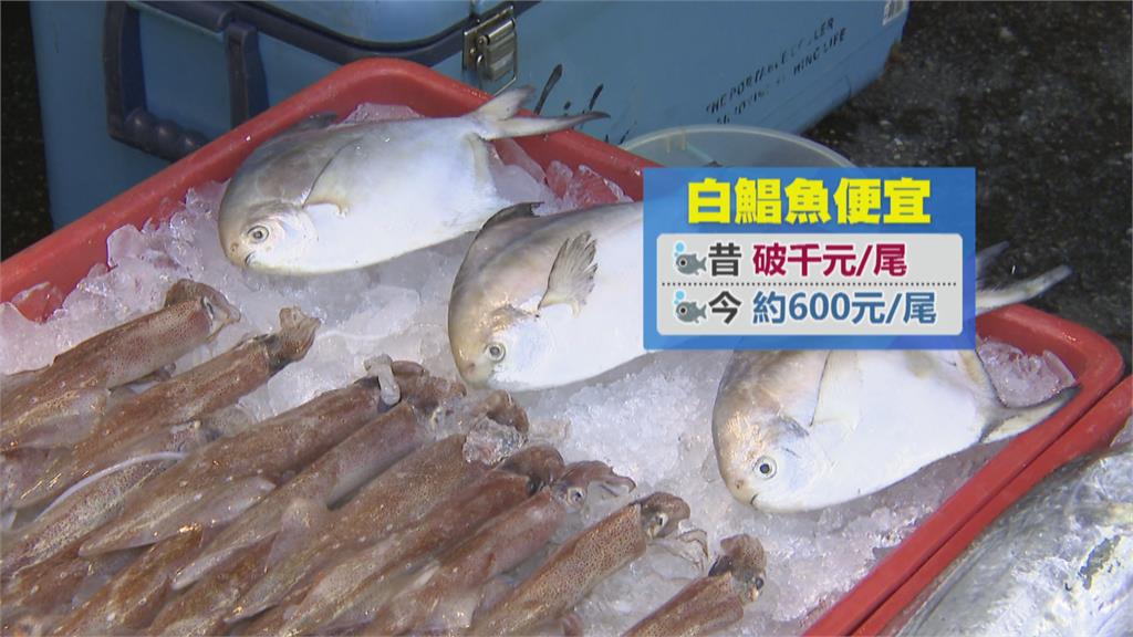 野生每公斤飆2800元 2尾白鯧魚要價近萬元！