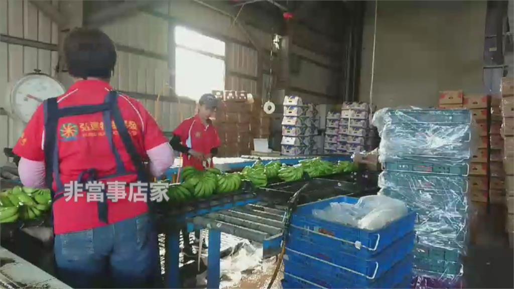 殺菌劑超標 日本回收台灣香蕉 農糧署：個案