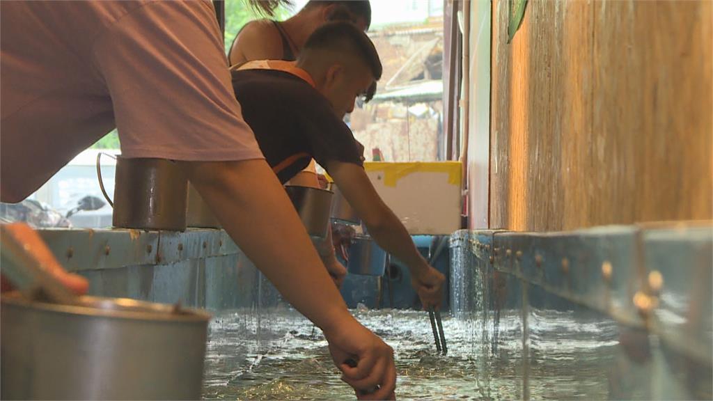 餐廳禁內用.釣蝦場停業　連帶衝擊泰國蝦市場