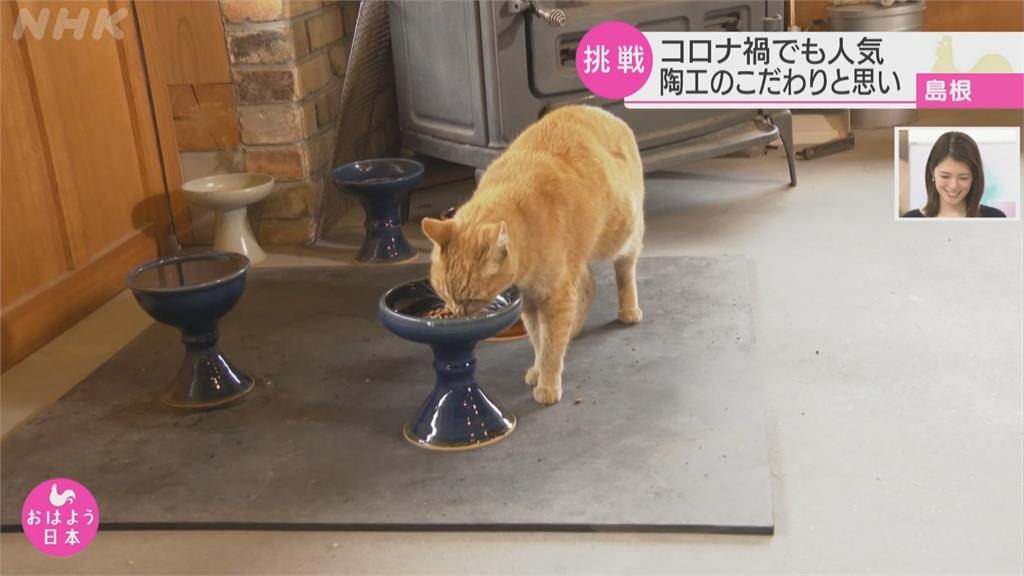 日本70年老窯場拚生機！貓咪專用碗爆搶購潮