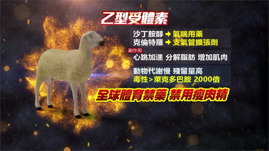 全球／中國河北爆超毒瘦肉精養羊 規避檢測花招多