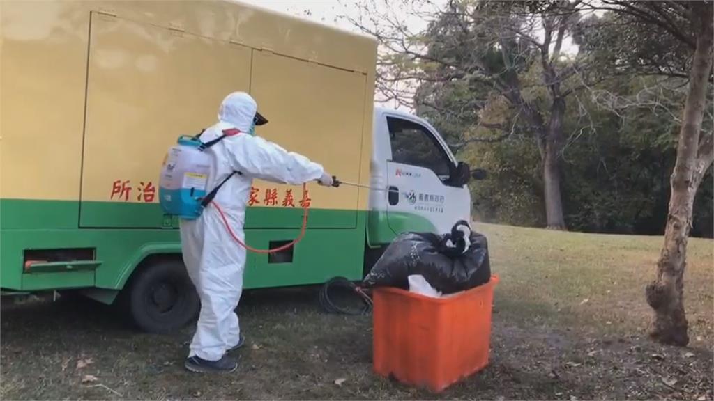 中正大學爆禽流感緊急撲殺 仍有8隻「漏網之鵝」