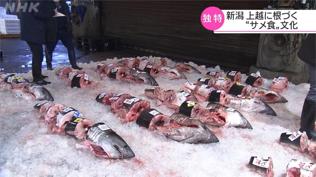 廚師巧手! 「吃鯊魚」成新潟傳統美味料理