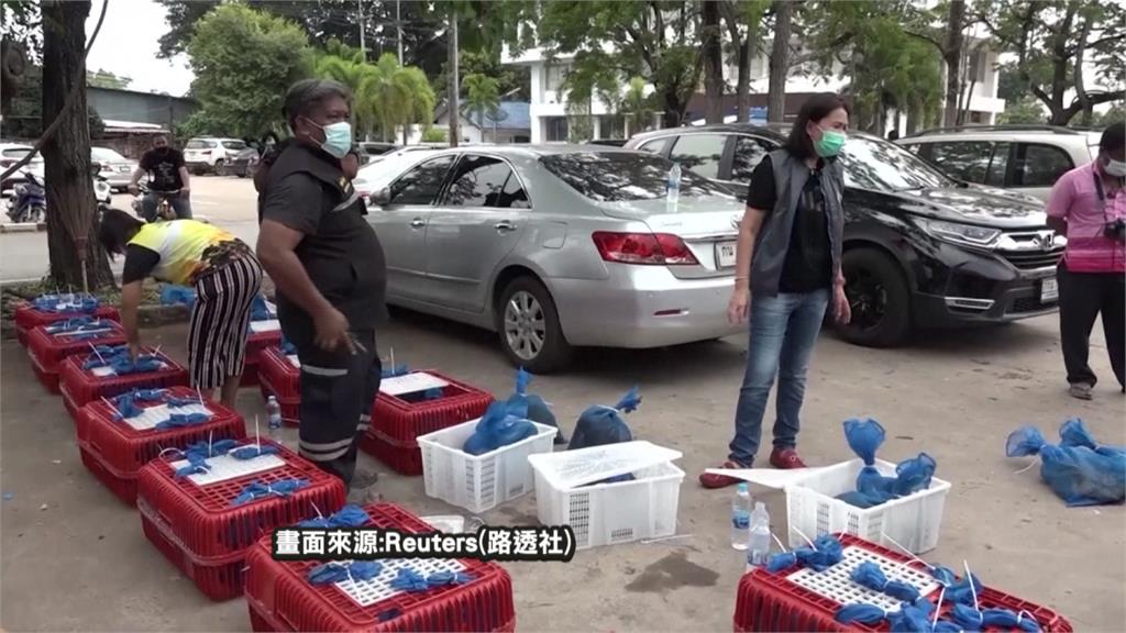 百隻獼猴險淪中國野味　泰即刻救援破非法走私
