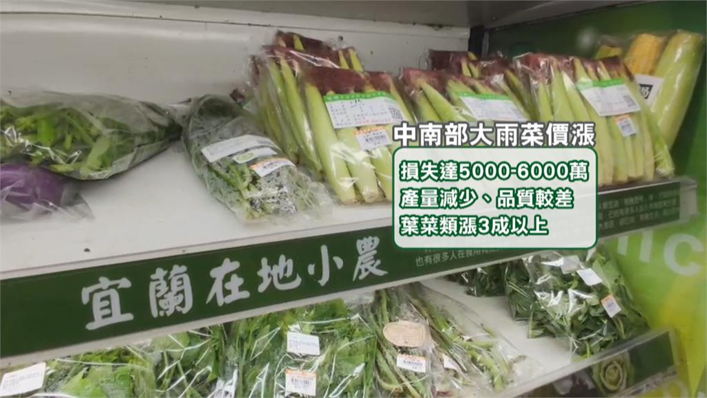 大雨青菜產量減價揚　 青江菜漲幅超過5倍