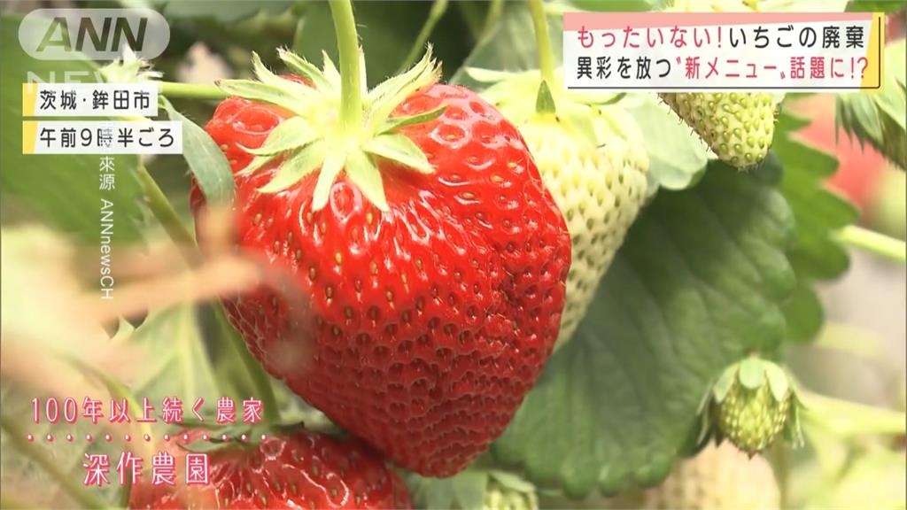 遊客不來 日本草莓農新創意！開發浪漫料理 草莓拉麵吃過嗎?
