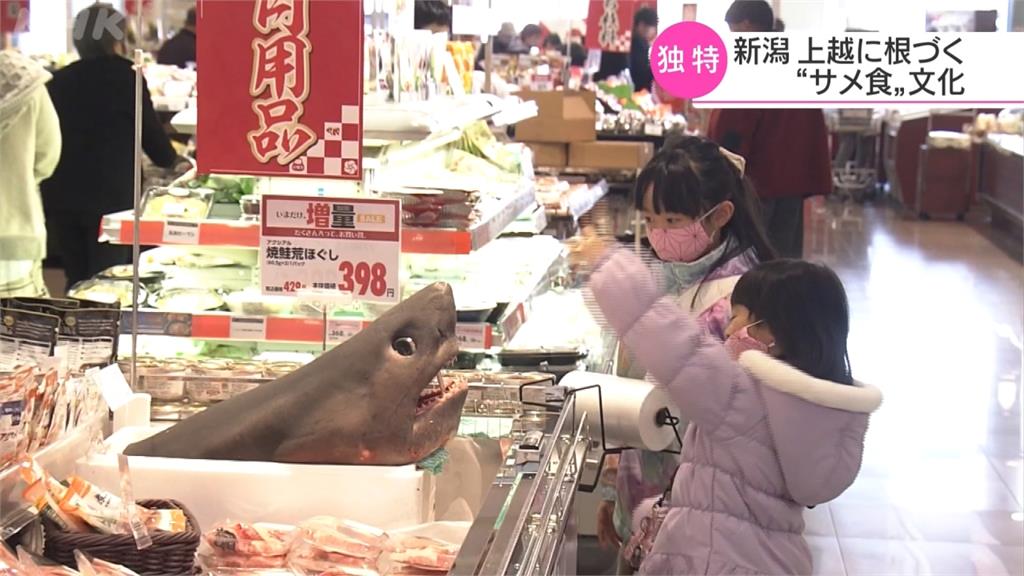 廚師巧手! 「吃鯊魚」成新潟傳統美味料理