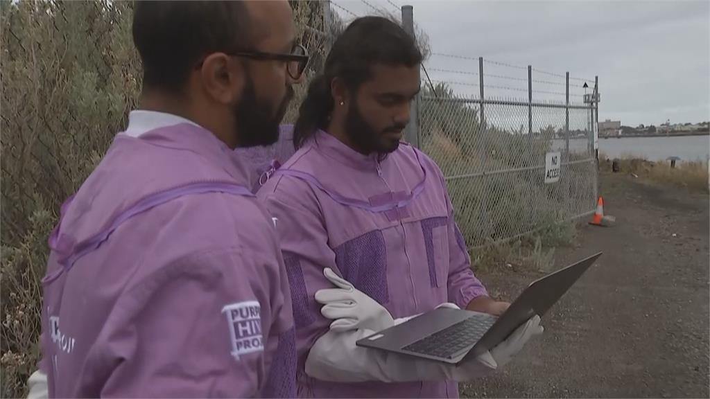 澳洲引進「智慧蜂巢」  裝攝影機偵測抓害蟲