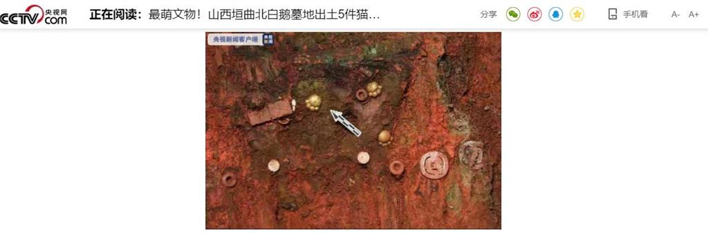 貓奴暴動：好可愛！中國1墓地出土5只「貓爪」文物照片曝光
