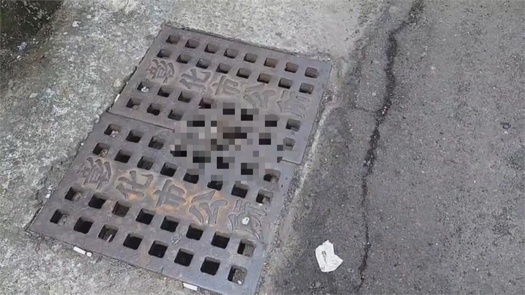  彰化市區巷道遭長期占用！環境髒亂、水溝上還有死老鼠