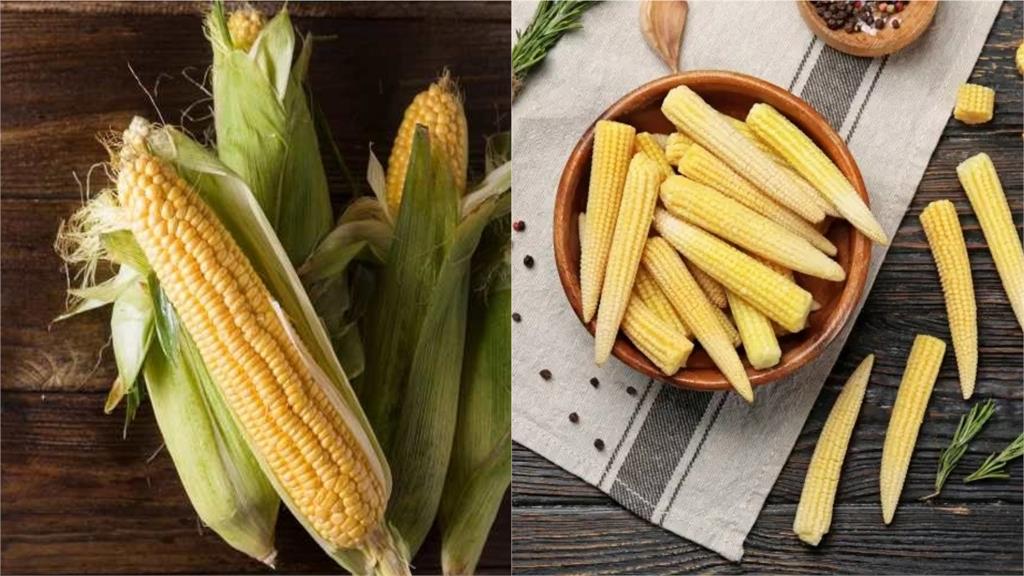 玉米筍長大就是玉米嗎？可能「2因素」而不相同　營養價值也有差