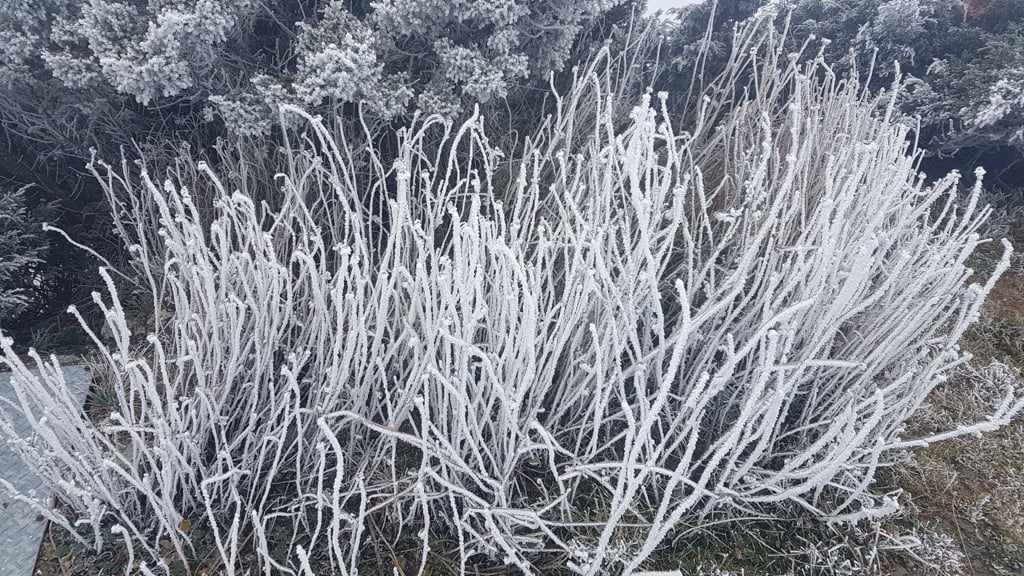 玉山 霧淞 氣象觀測站