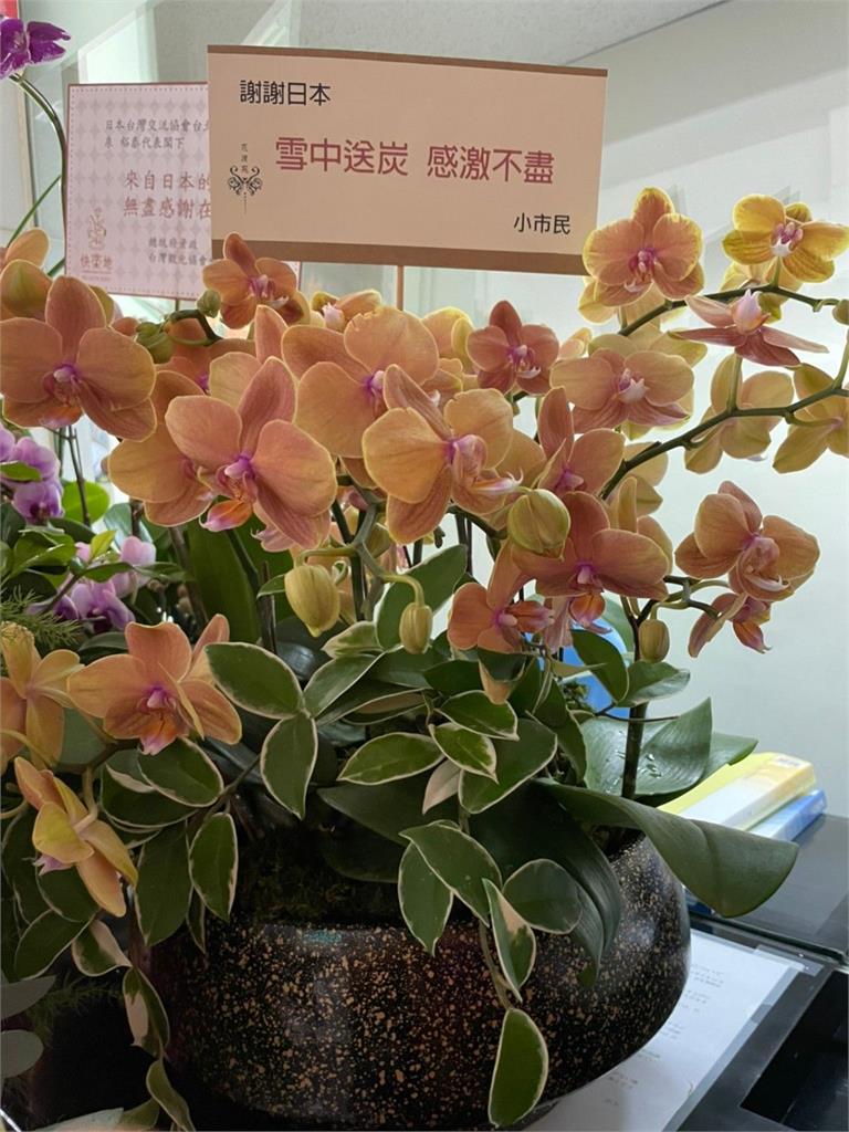 快新聞／日台交流協會收27組花籃與水果　台灣民眾感念贈AZ：感謝日本珍貴的禮物！