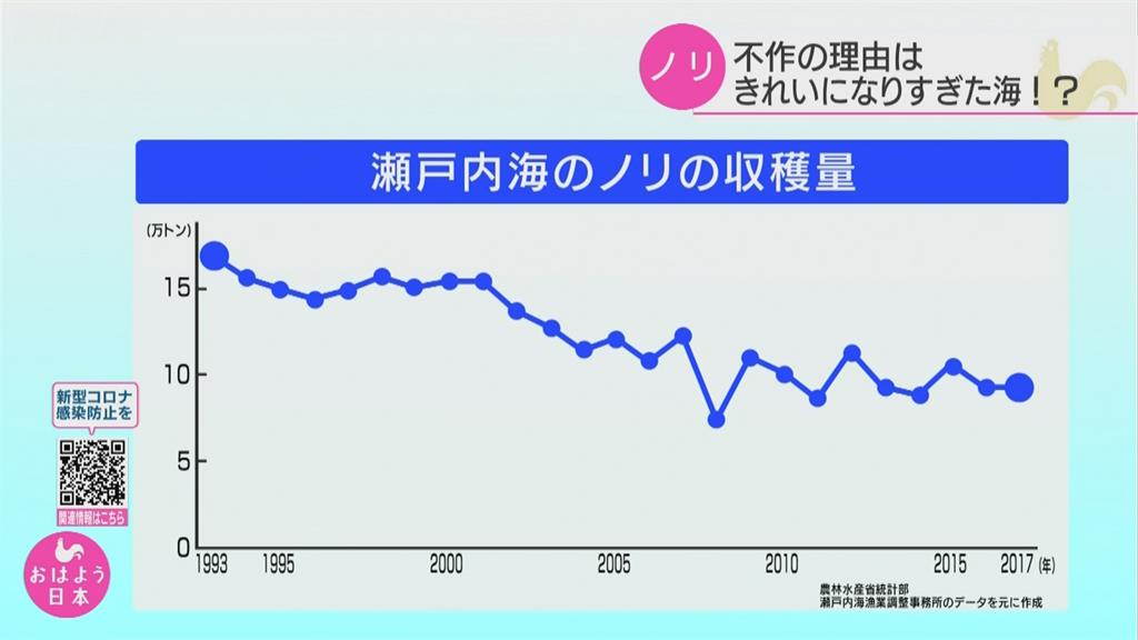 日本紫菜產量直線下滑   竟因排放汙水減少海水「太乾淨」