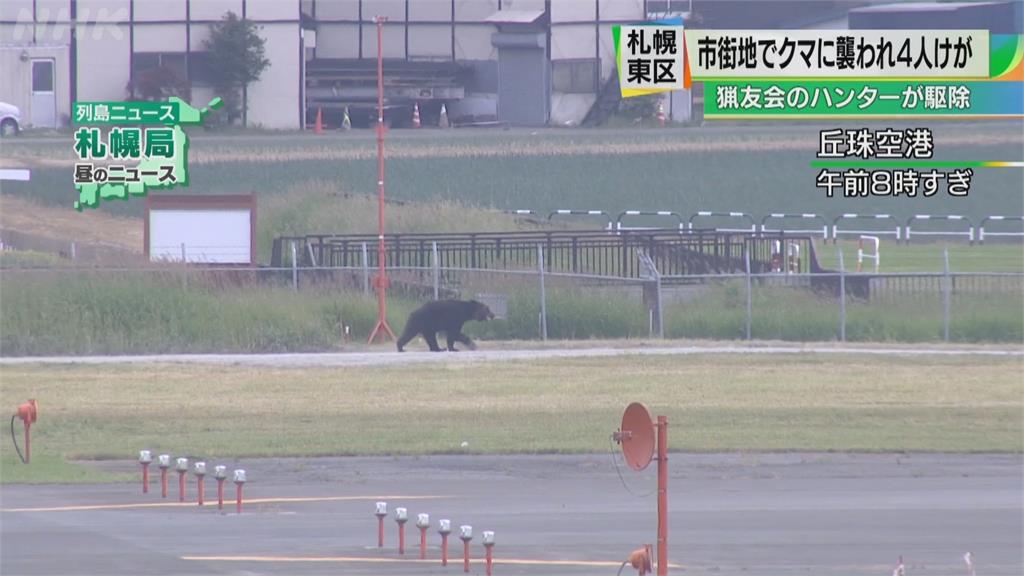 棕熊現蹤札幌攻擊民眾　10間中小學臨時停課