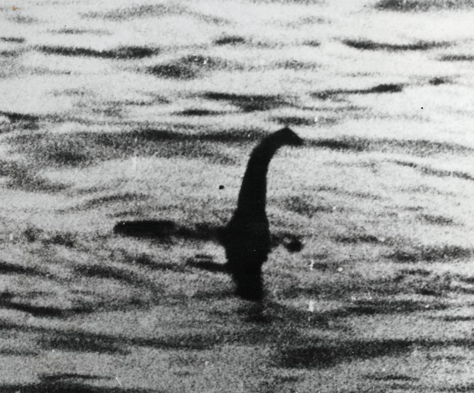 尼斯湖水怪其實只是鯨魚陰莖　水底謎團真相逐漸明朗