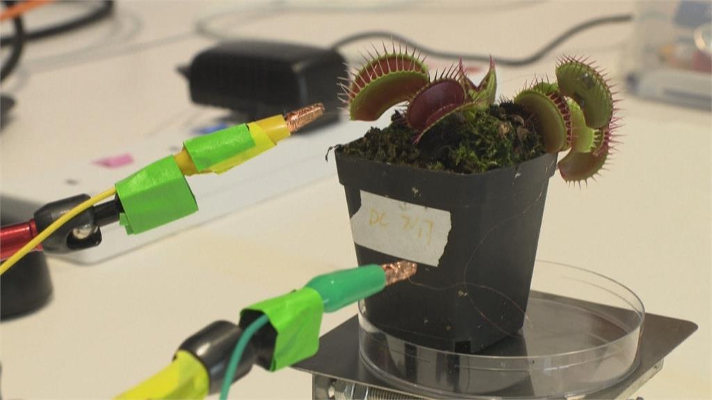 「植物機器人」耗時3年完成 可用APP操控取物